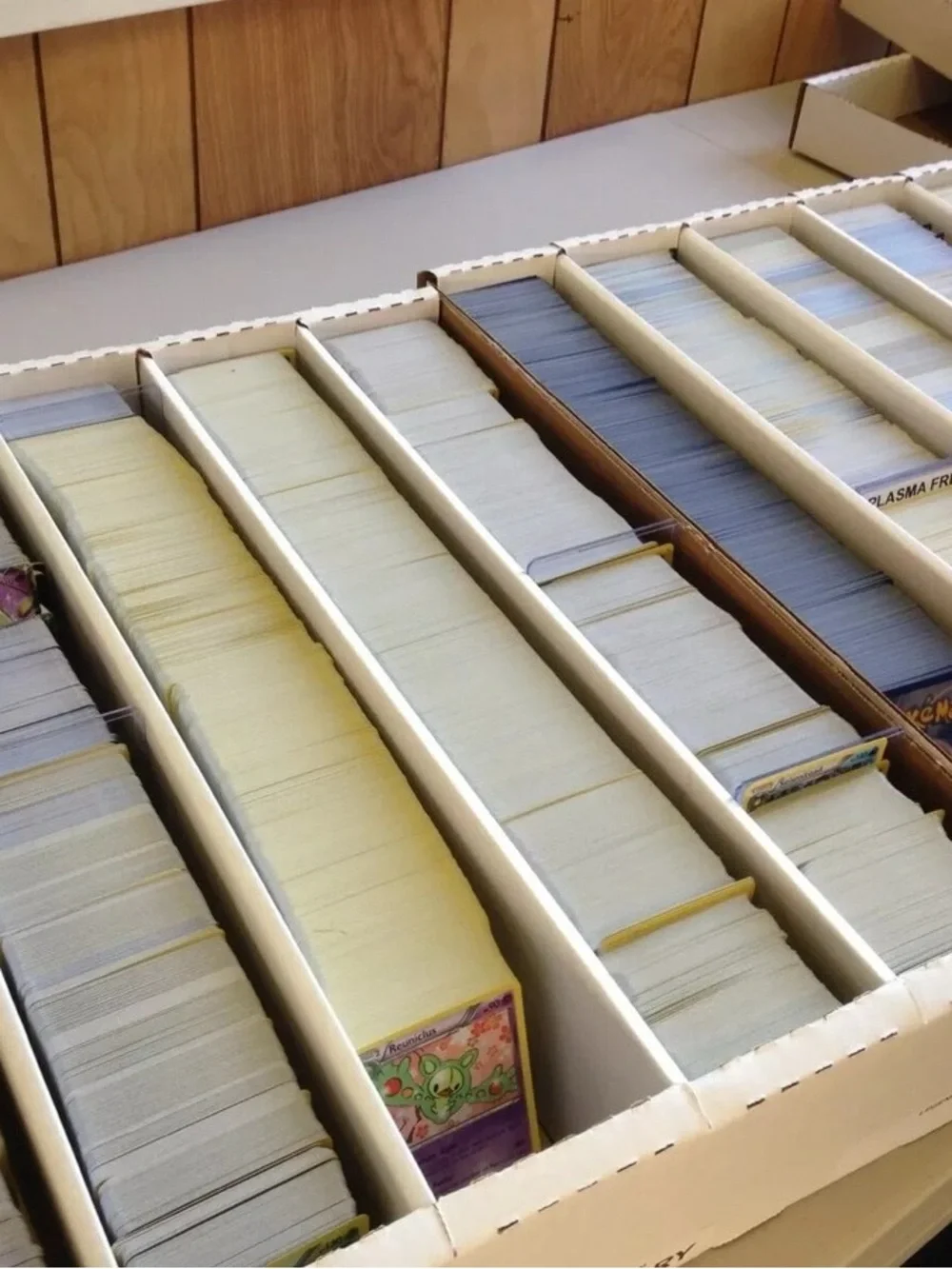 🔥 250 Random Pokémon Cards | HUGE Bulk Collection | 250 CARD LOT NO DUPLICATES